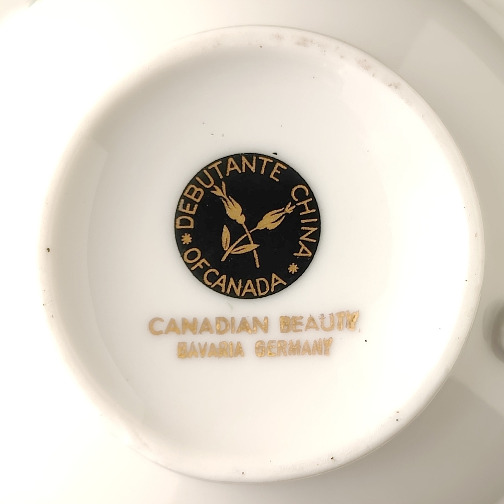 Vintage | Debutante China of Canada | Teacup and Saucer with Gold Trim 🌹🩷 - Picture 13 of 15